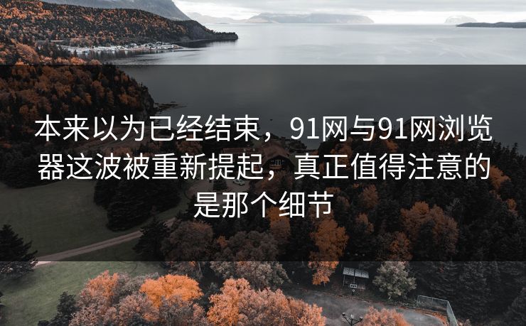 本来以为已经结束，91网与91网浏览器这波被重新提起，真正值得注意的是那个细节