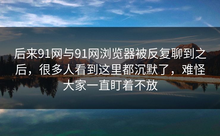 后来91网与91网浏览器被反复聊到之后，很多人看到这里都沉默了，难怪大家一直盯着不放