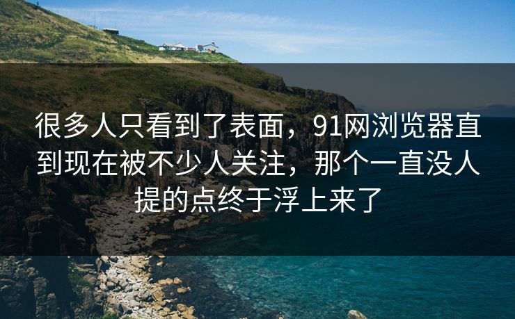 很多人只看到了表面，91网浏览器直到现在被不少人关注，那个一直没人提的点终于浮上来了