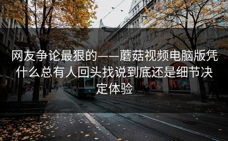 网友争论最狠的——蘑菇视频电脑版凭什么总有人回头找说到底还是细节决定体验
