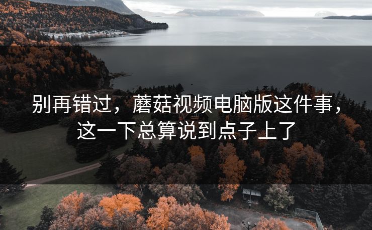 别再错过，蘑菇视频电脑版这件事，这一下总算说到点子上了
