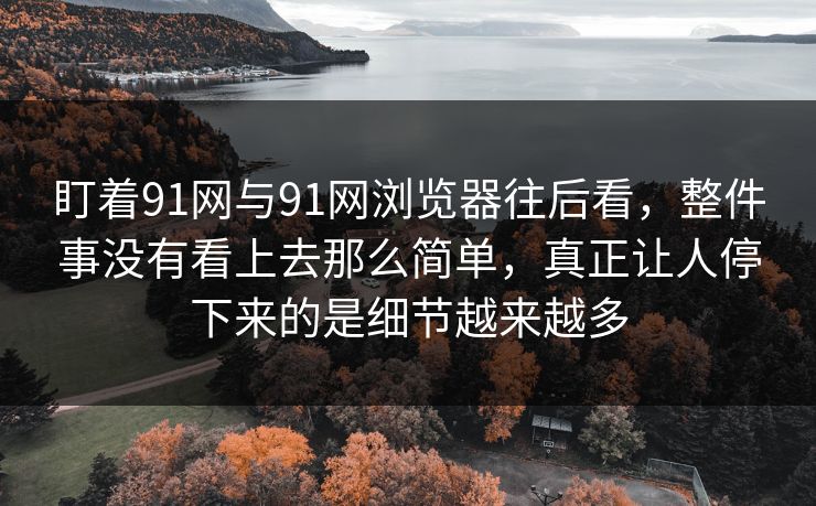 盯着91网与91网浏览器往后看，整件事没有看上去那么简单，真正让人停下来的是细节越来越多