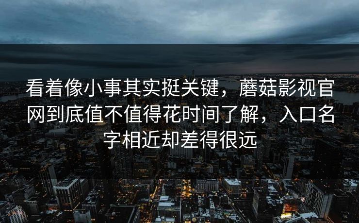 看着像小事其实挺关键，蘑菇影视官网到底值不值得花时间了解，入口名字相近却差得很远